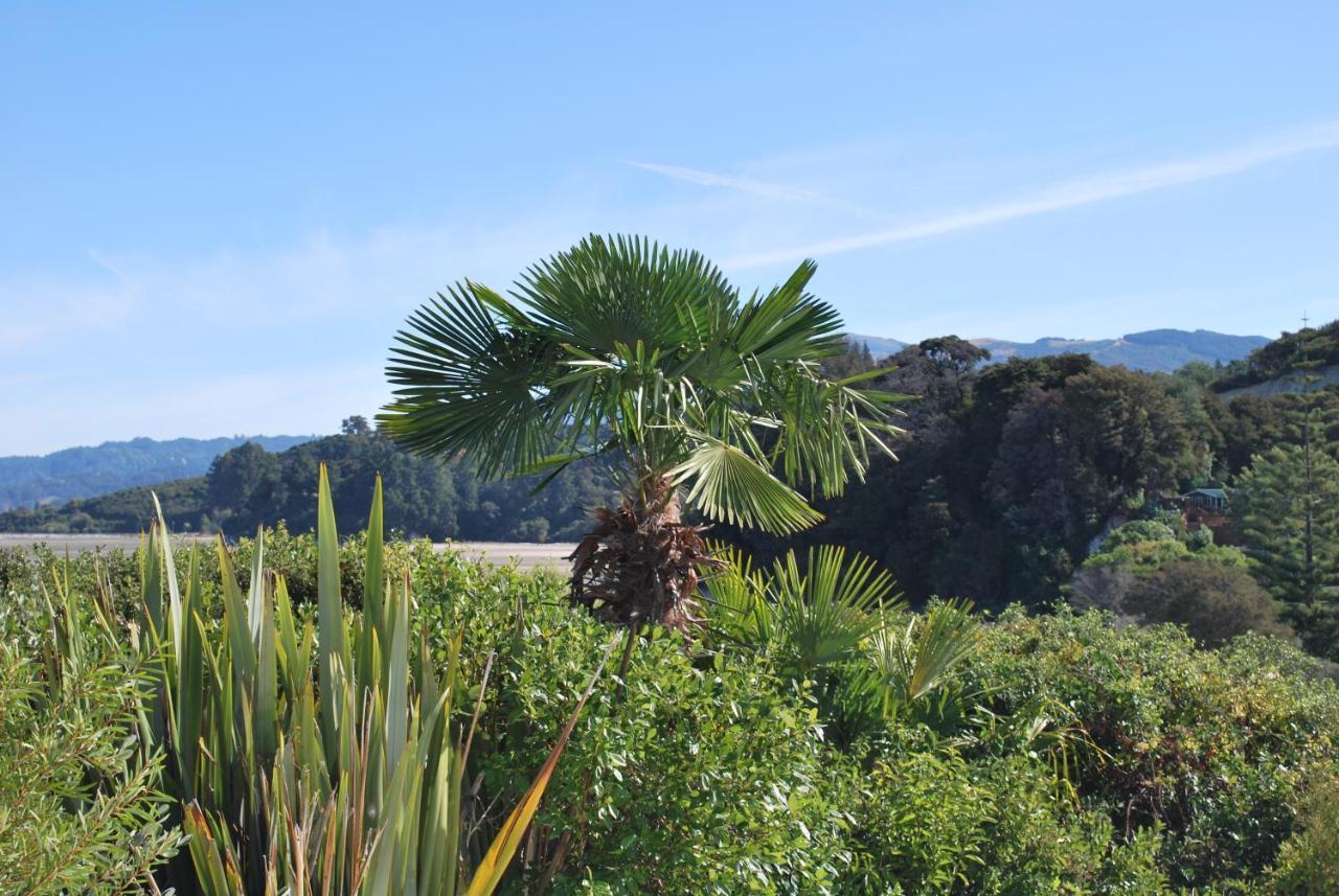 Beach Front:Palms-On-The-Beach.Kaiteriteri. מראה חיצוני תמונה